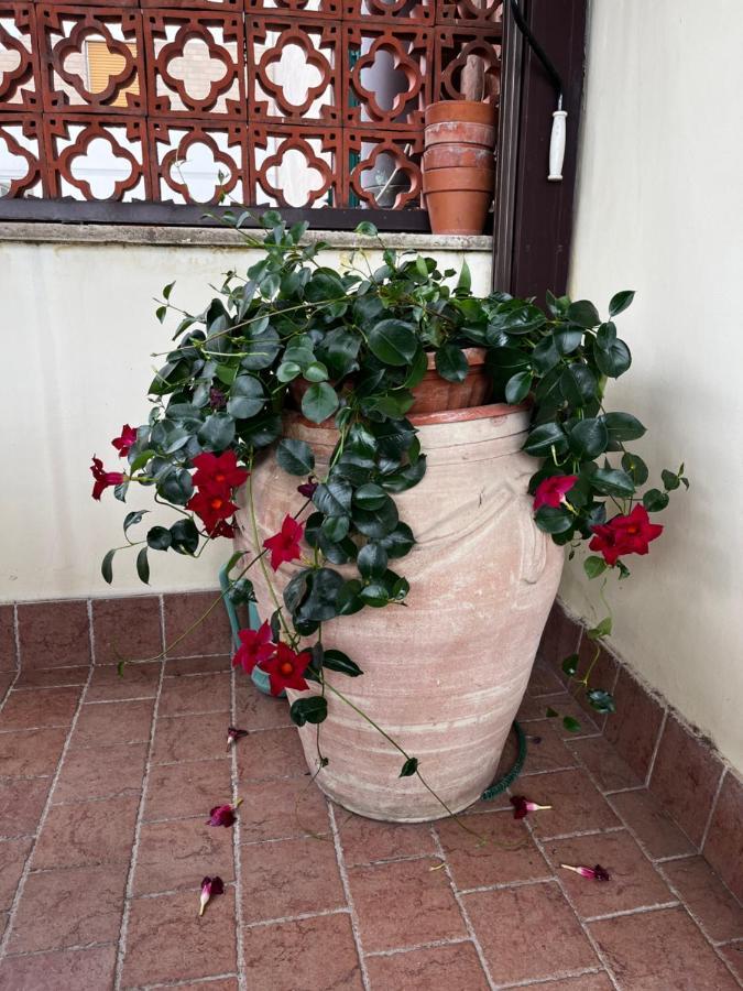 B&B La Panoramica Тиволи Екстериор снимка